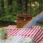 How to Pack a Diaper Bag for a Picnic